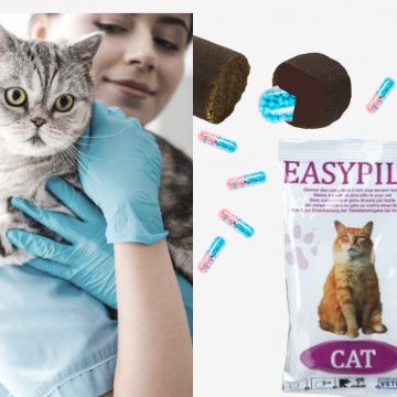 Easypill איזי פיל חתולים: חטיף מיוחד למתן תרופות לחתול