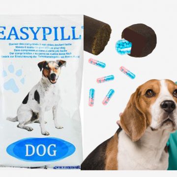 Easypill איזי פיל : חטיף מיוחד למתן תרופות בדרך נעימה וטעימה לכלבים