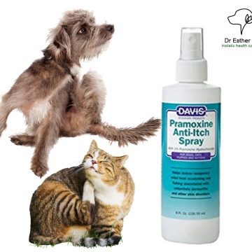 תרסיס נגד גירוד בכלבים וחתולים. תרסיס להקלת גרודים בכלבים וחתולים. Pramoxine Anti-Itch Spray