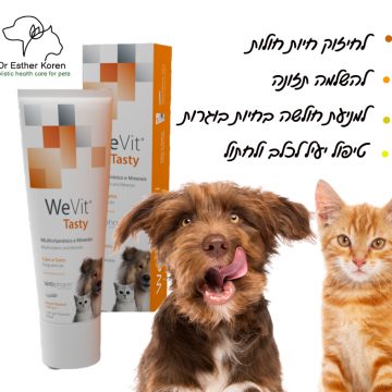מולטי ויטמין לכלבים וחתולים – ויטמינים לחיזוק כלבים וחתולים “ווי ויט” – We Vit