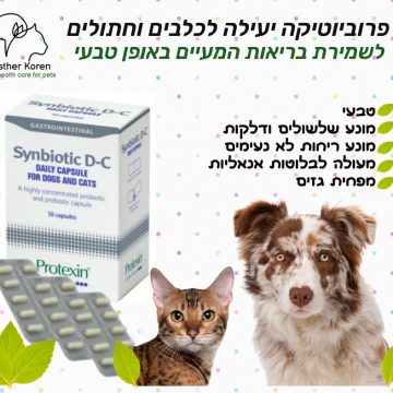 פרוביוטיקה לכלב ולחתול: לטיפול בשלשולים, עצירות ובלוטות אנאליות  Synbiotic D-C – סינביוטיק