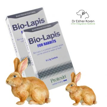 תוסף פרוביוטיקה לארנבים – ארנבונים בתוספת ויטמינים ואלקטרוליטיים Bio-Lapis