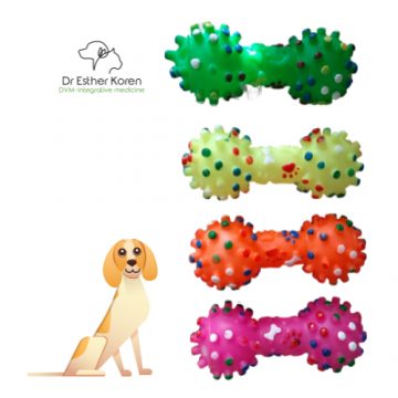 צעצועים מצפצפים לכלבים בכל גיל: צעצוע עצם עם בליטות לתפיסה נוחה בשיניים בדיל מיוחד!
