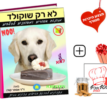 לא רק שוקולד: קורס דיגיטלי בנושא מזונות אסורים ומסוכנים לכלבים+ מתנה