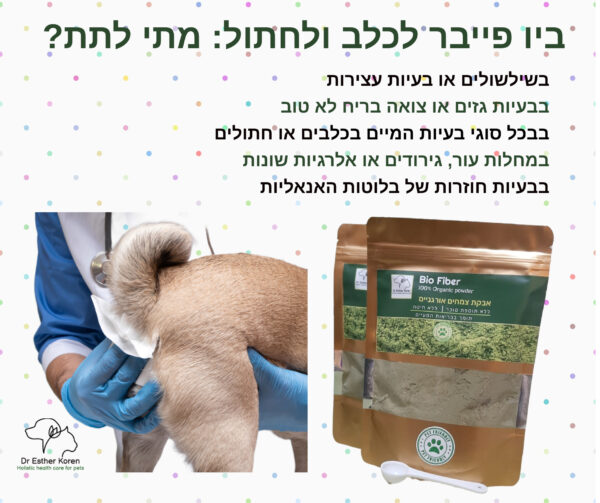 ⁦בעיות מעיים לכלב או לחתול ? אבקת צמחים אורגנית "ביו פייבר" תעזור לכם⁩ – תמונה ⁦3⁩