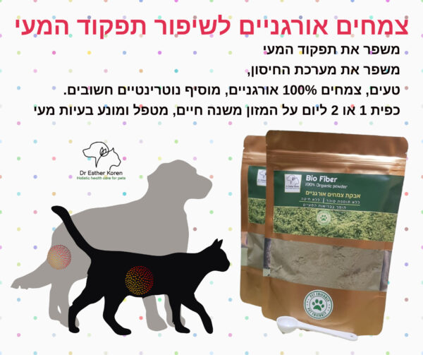 ⁦בעיות מעיים לכלב או לחתול ? אבקת צמחים אורגנית "ביו פייבר" תעזור לכם⁩ – תמונה ⁦2⁩