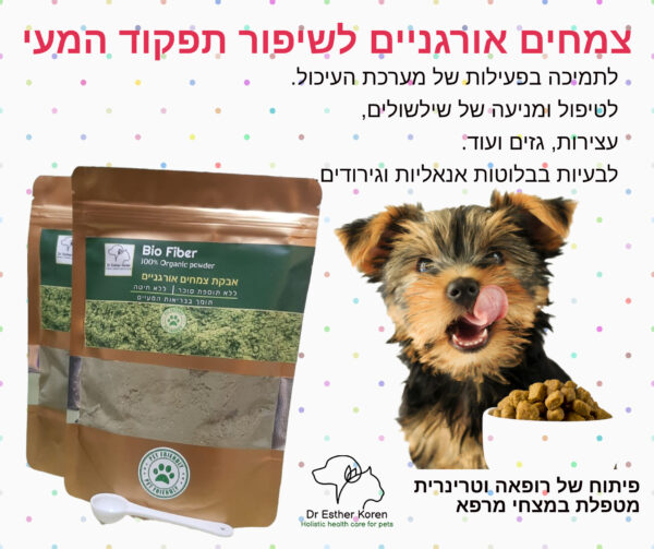 "ביו פייבר" לשיפור תפקוד המעיים בכלבים וחתולים אבקת צמחים אורגנית Bio fiber