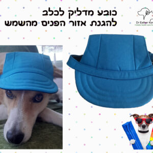 כובע לכלב