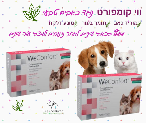 טיפול נגד כאבים בכלבים וחתולים ווי קונפורט  We Confort